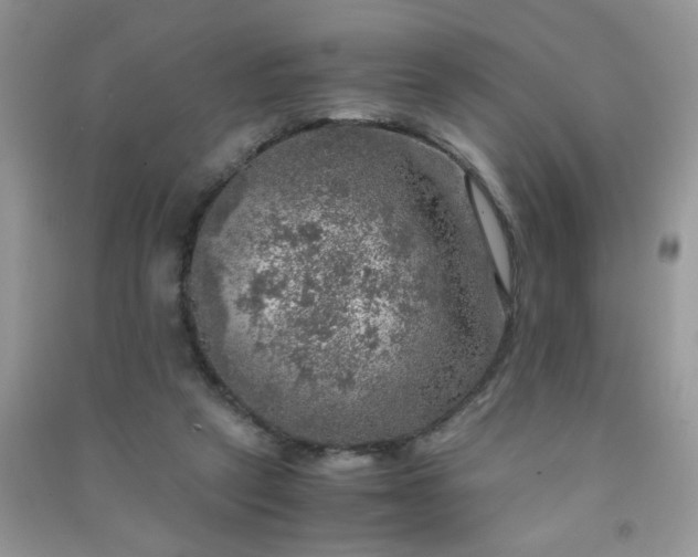 X0000091010257200708162004