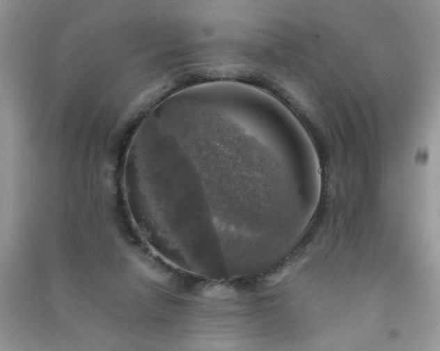 X0000091010258200708162004