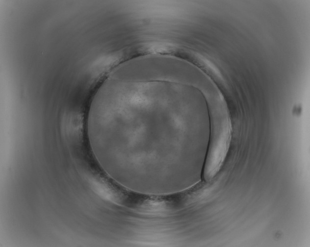 X0000091010260200708162004