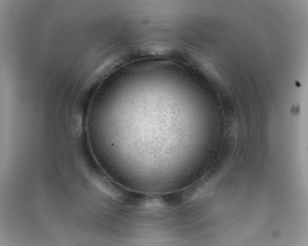 X0000091010262200708162004