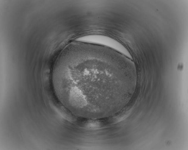 X0000091010263200708162004