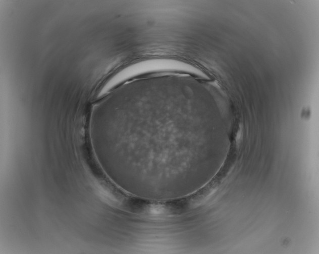 X0000091010264200708162004