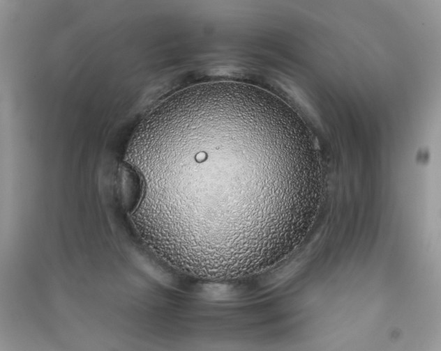 X0000091010265200708162004