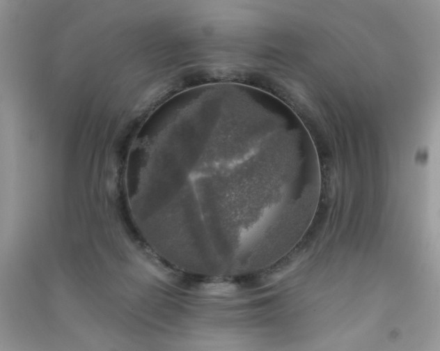 X0000091010266200708162004