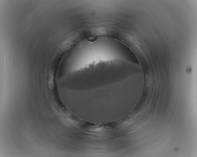 X0000091010267200708162004