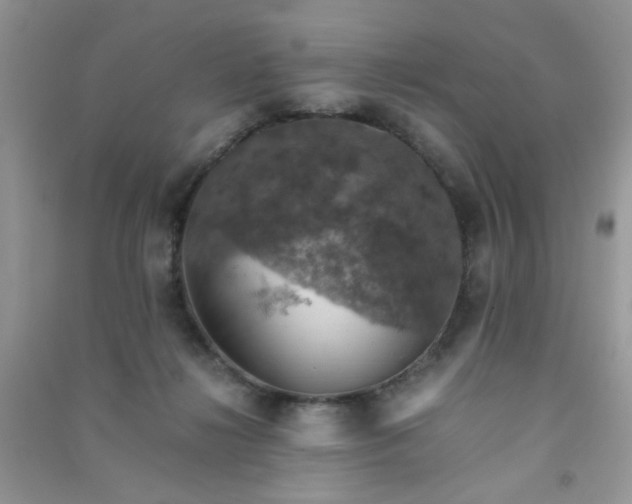 X0000091010268200708162004