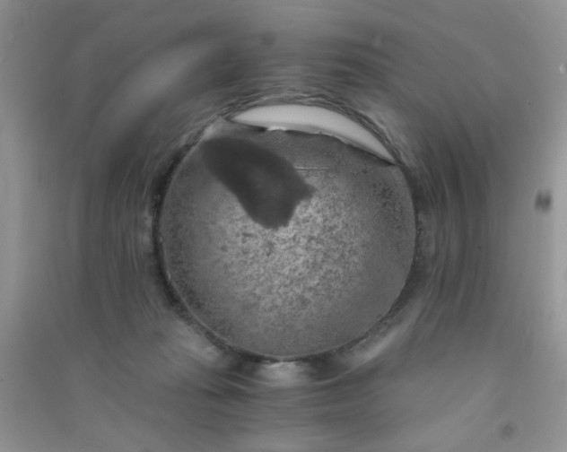 X0000091010269200708162004