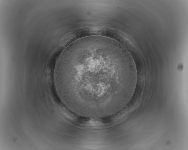 X0000091010270200708162004