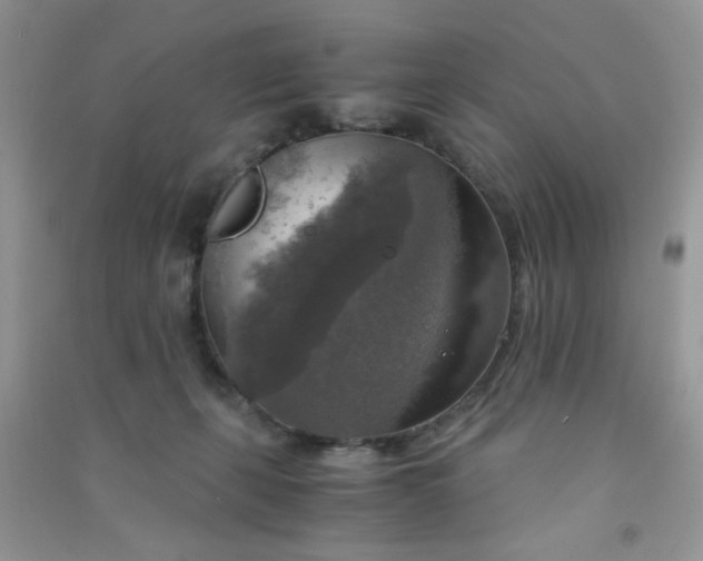 X0000091010271200708162004