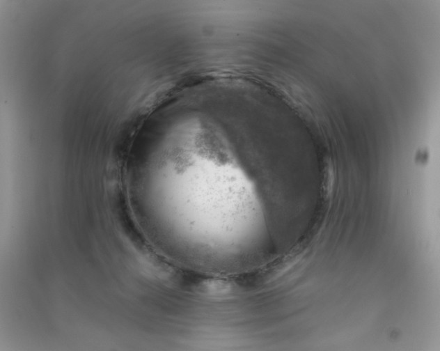 X0000091010272200708162004