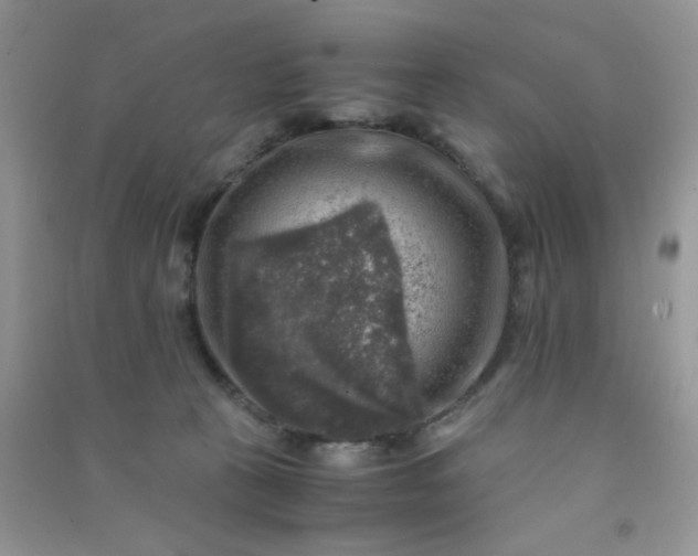 X0000091010273200708162004