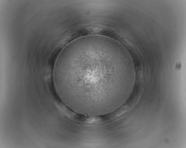 X0000091010274200708162004