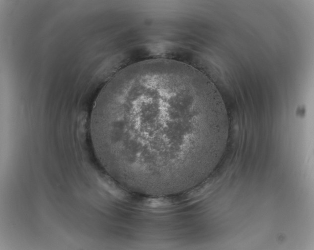 X0000091010275200708162004