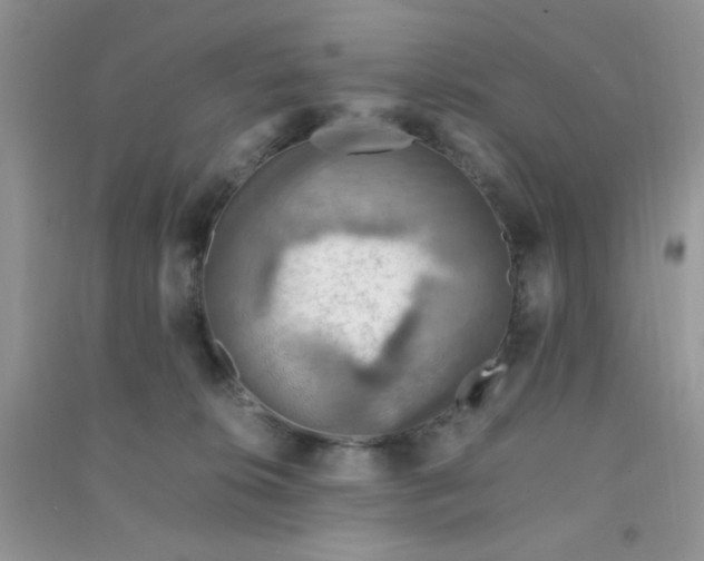 X0000091010276200708162004