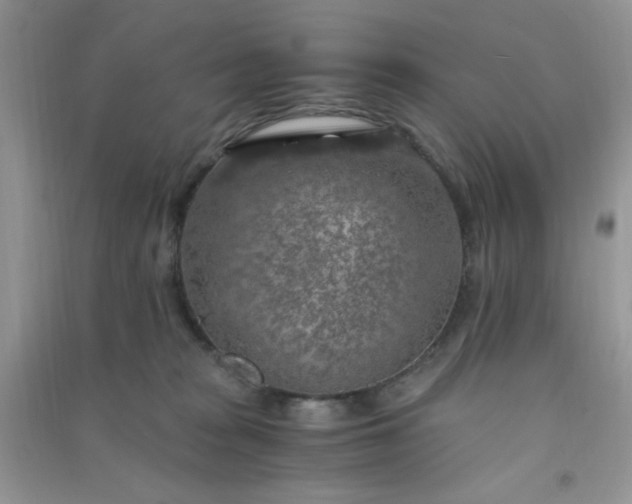 X0000091010277200708162004