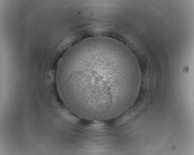 X0000091010278200708162004