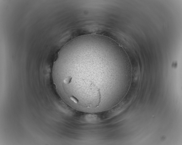 X0000091010279200708162004