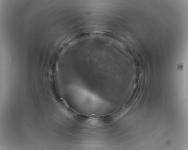 X0000091010280200708162004