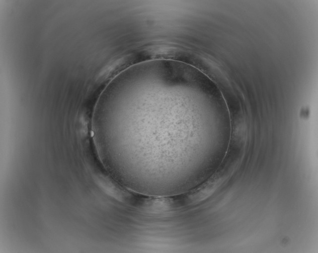 X0000091010282200708162004