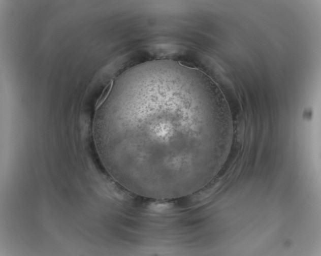 X0000091010283200708162004