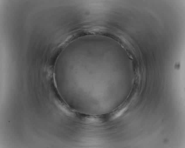 X0000091010284200708162004