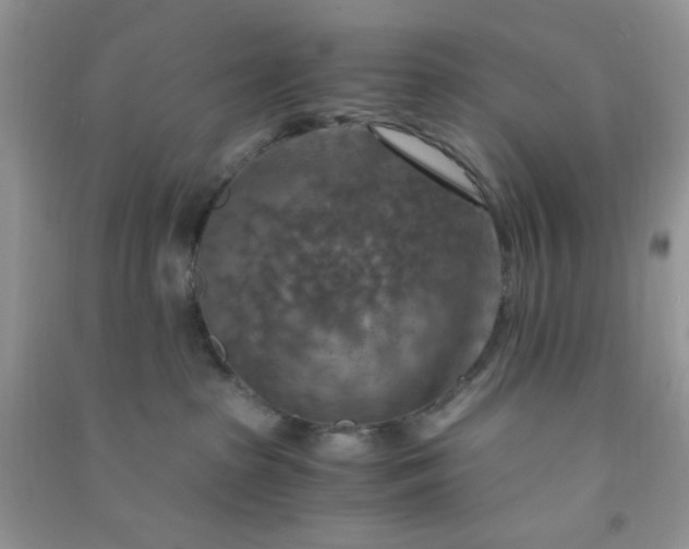 X0000091010285200708162004