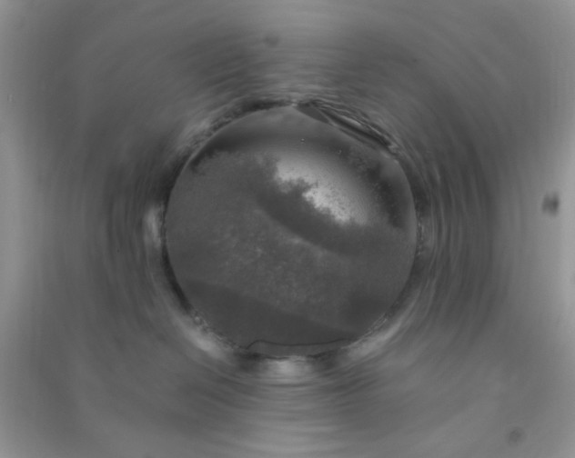 X0000091010286200708162004