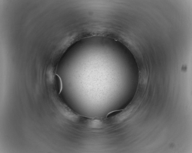 X0000091010287200708162004