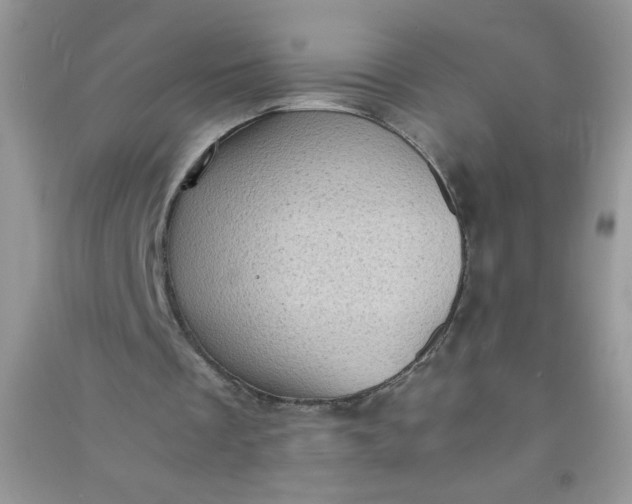 X0000091010289200708162004