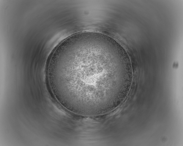 X0000091010290200708162004