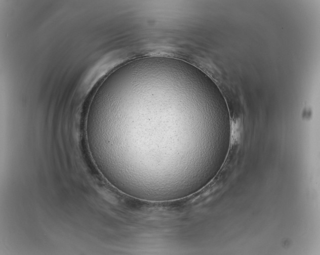 X0000091010291200708162004