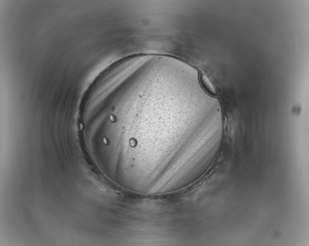 X0000091010292200708162004