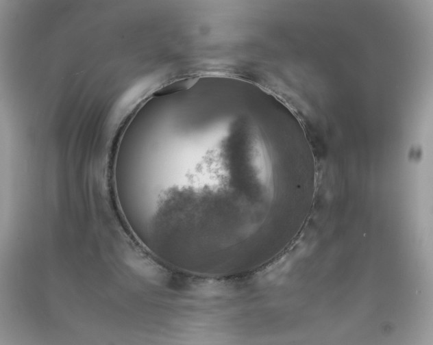 X0000091010293200708162004