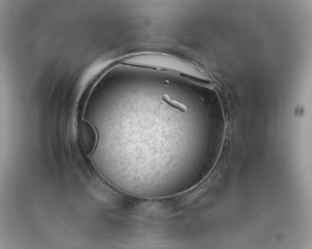 X0000091010294200708162004