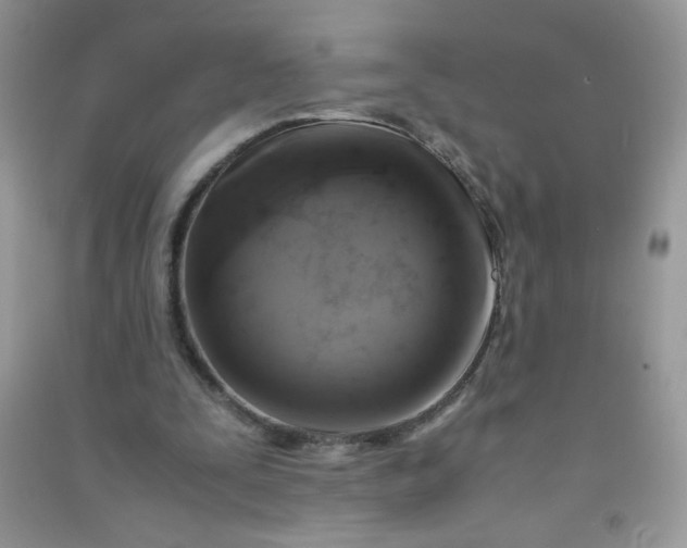 X0000091010295200708162004