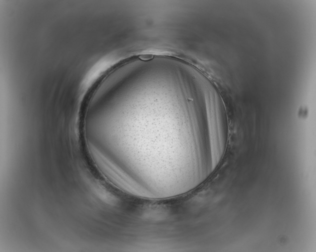 X0000091010296200708162004