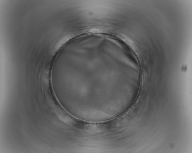 X0000091010297200708162004