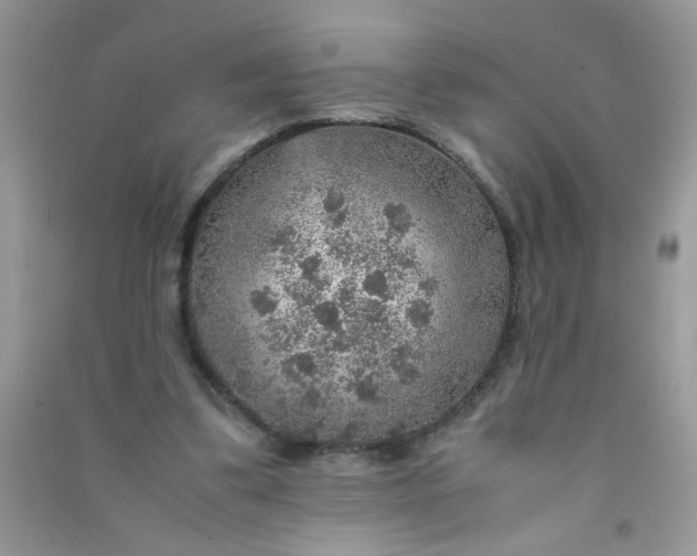 X0000091010299200708162004