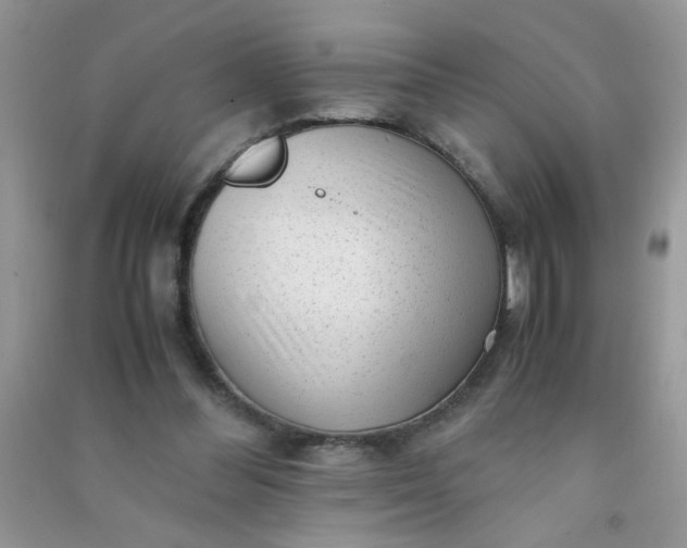 X0000091010300200708162004