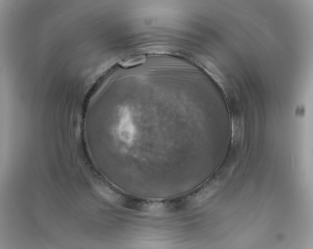 X0000091010301200708162004