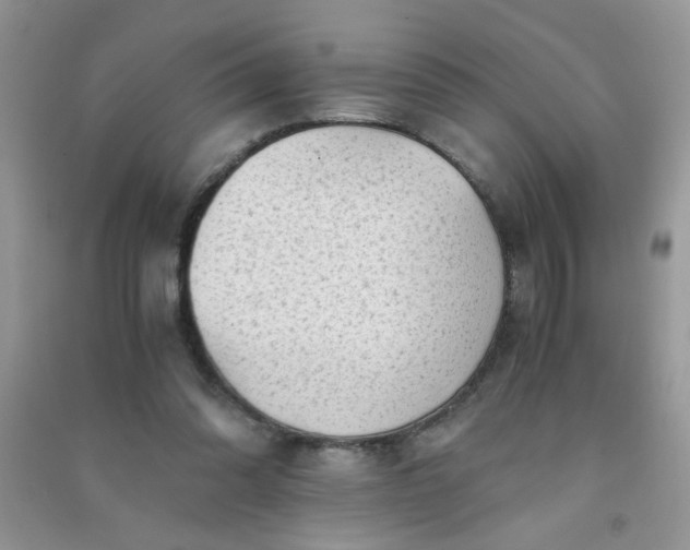 X0000091010302200708162004