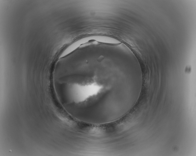 X0000091010303200708162004