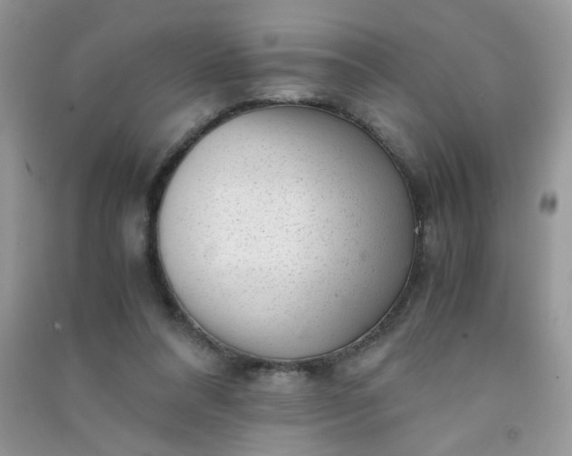 X0000091010304200708162004