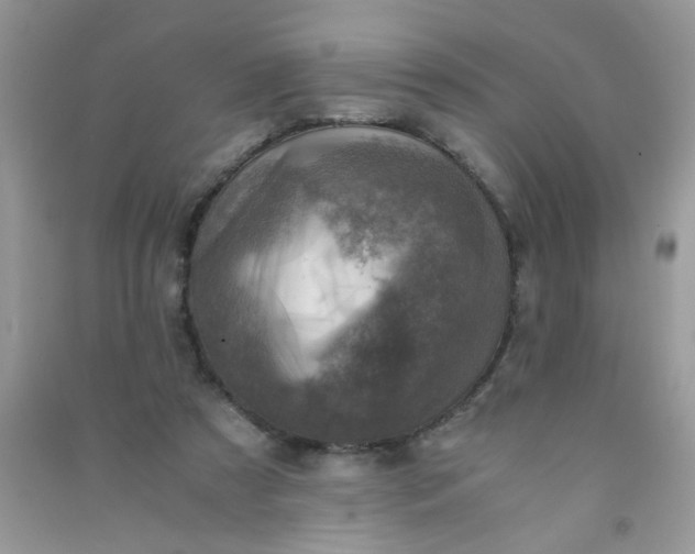 X0000091010305200708162004