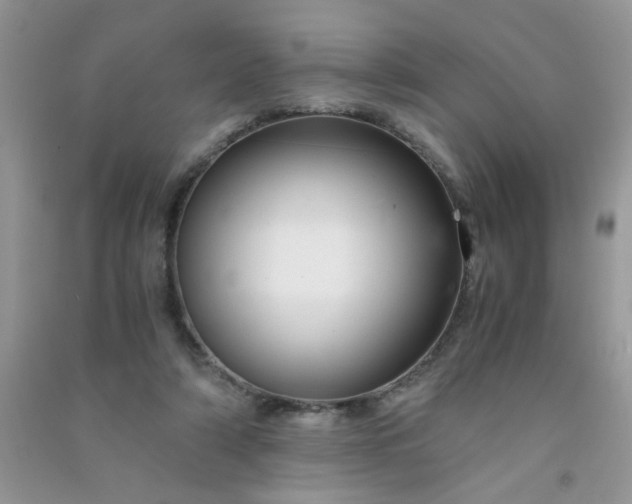 X0000091010306200708162004