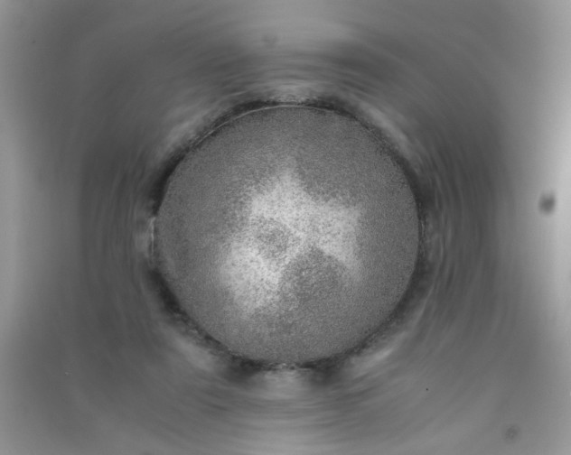 X0000091010307200708162004