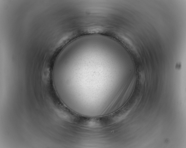 X0000091010308200708162004