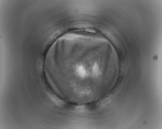 X0000091010309200708162004