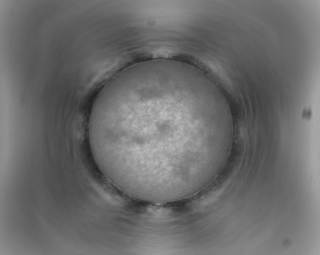 X0000091010311200708162004