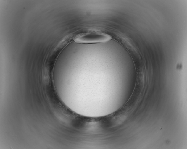 X0000091010312200708162004